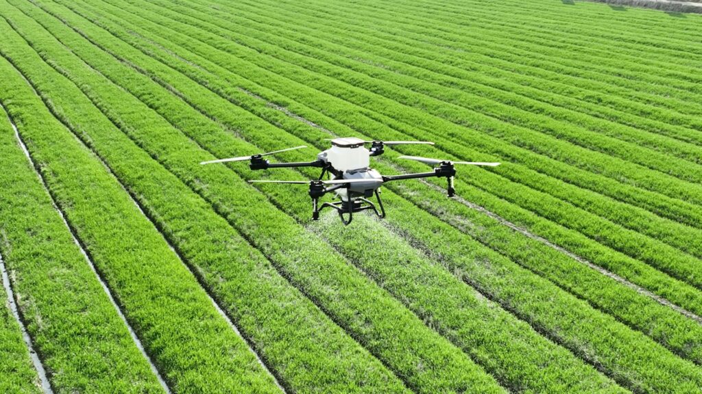Precision Agriculture: Drones, Sensors, and Artificial Intelligence (AI) Working Together to Provide Food for the World