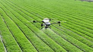Precision Agriculture: Drones, Sensors, and Artificial Intelligence (AI) Working Together to Provide Food for the World